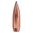 SPEER 30 CALIBER (0.308") 180GR SOFT POINT 100/BOX
