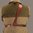 GALCO INTERNATIONAL GREAT ALASKAN WILSON HUNTER 5 1/2" -TAN-RIGHT HAND