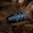 MOUNTAIN TACTICAL T3/T3X BOLT KNOBS - KNURLED