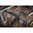 MOUNTAIN TACTICAL T1X BOTTOM METAL