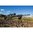 NIGHTFORCE SHV 4-14X50MM FFP MIL-R RETICLE BLACK