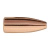 Varminter 30 kaliber (0.308") 115gr hollow point kulor erbjuder exceptionell precision, explosiv expansion och hög hastighet för effektivt skadedjursjakt.